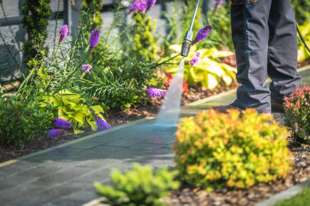 Best Driveway Pressure Washing  in Larchmont, NY